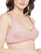 Clovia Women's Pack of 3 Cotton Non-Padded Non-Wired T-Shirt Bra