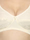 Pack of 2 Premium Jersey Bra