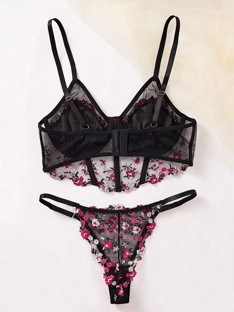 Floral Embroidered Mesh Fairy Bra and Pnrty Set