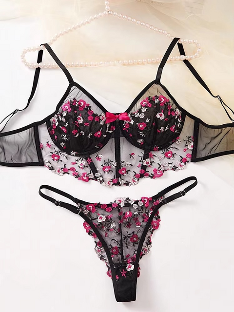 Floral Embroidered Mesh Fairy Bra and Pnrty Set