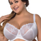 Women Capri Plus Size Bra (36-52)