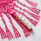 Women Lace Embroidery Underwear
