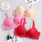 Padded Lace Underwire Push Up Bra