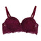 Bryony Padded Lace Underwire Push Up Bra