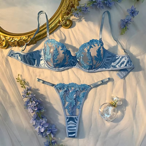 Light Blue Mesh Delicate Embroidery, Translucent Bra And Panty Set