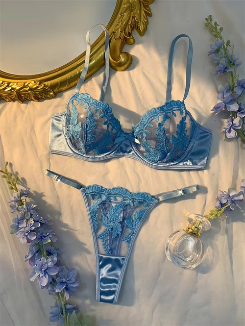 Light Blue Mesh Delicate Embroidery, Translucent Bra And Panty Set