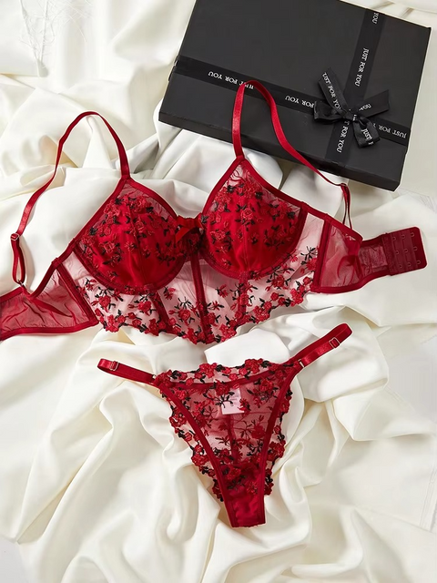 Floral Embroidered Mesh Fairy Bra and Pnrty Set