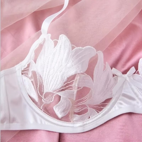 Tornova Sexy Women's Lace Sheer Embroidered Bra and Panty Set