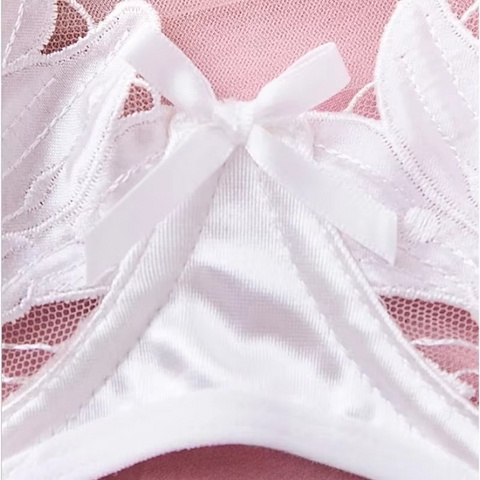 Tornova Sexy Women's Lace Sheer Embroidered Bra and Panty Set