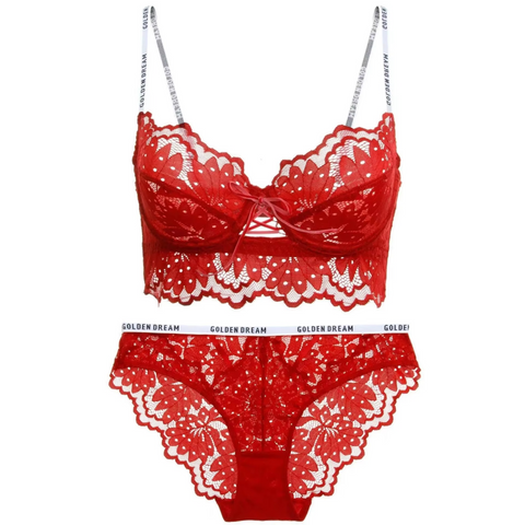 Dression Store Sexy Lace Bra and Ruched Panty Set