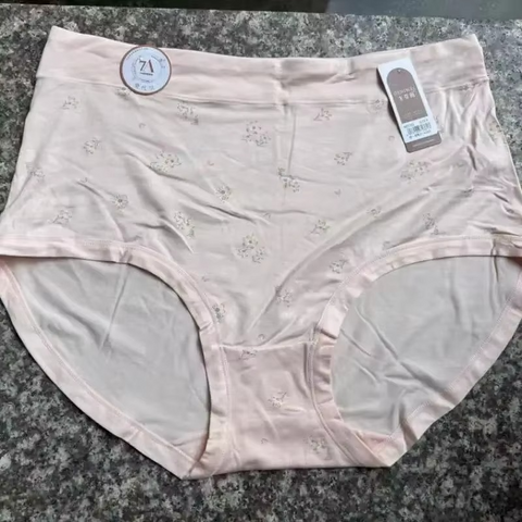 High-Waisted Modal Plus Size Panty – Triangle Print