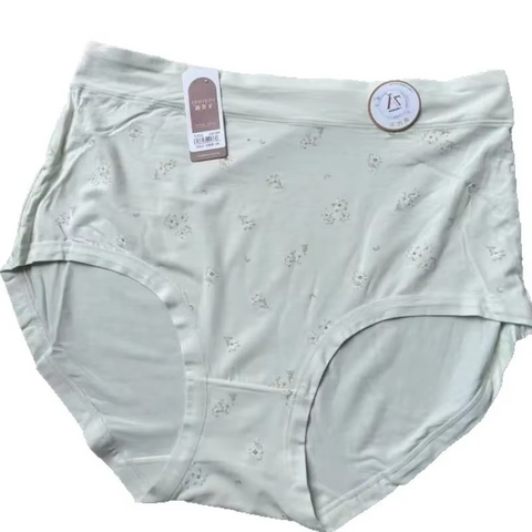 High-Waisted Modal Plus Size Panty – Triangle Print