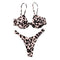 Classic Leopard Print Swimsuit